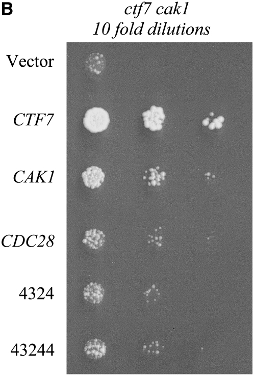 Figure 2.—