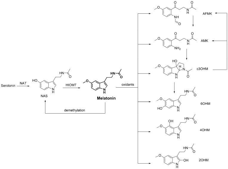 Scheme 5