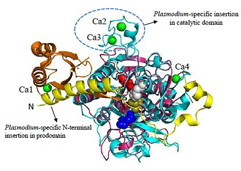 FIGURE 3