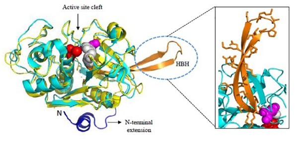 FIGURE 5