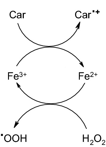 Scheme 3