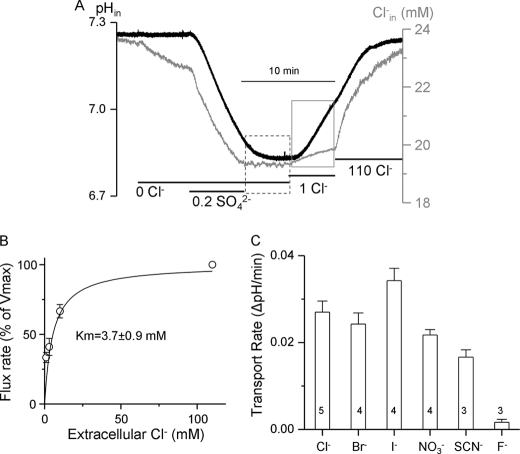 FIGURE 4.