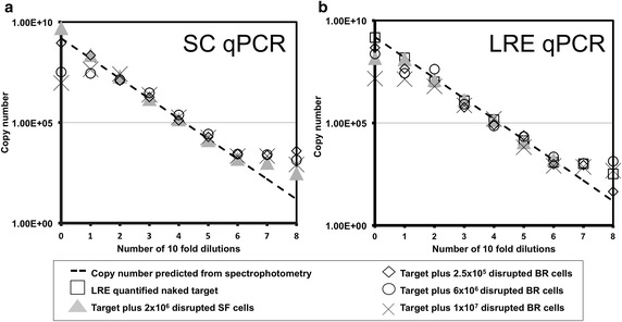 Fig. 10