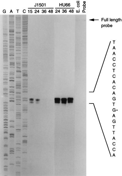 FIG. 5