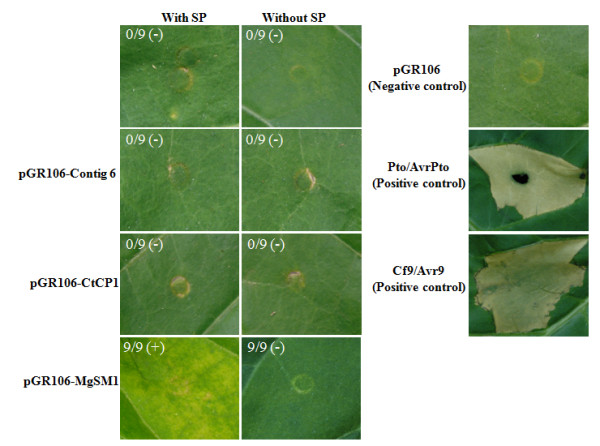 Figure 4