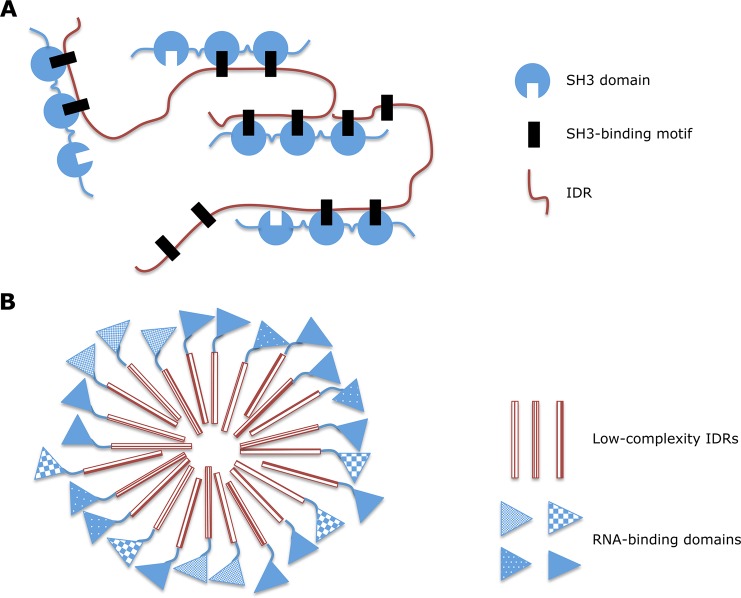 Figure 17