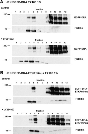 Fig. 9.