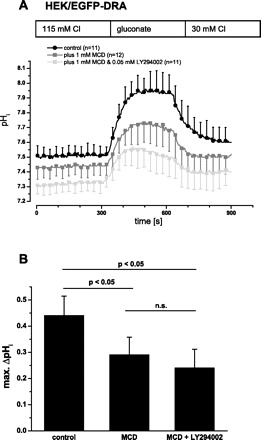 Fig. 11.