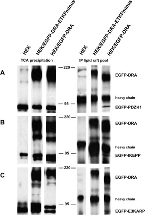 Fig. 13.