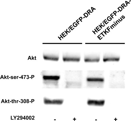 Fig. 10.