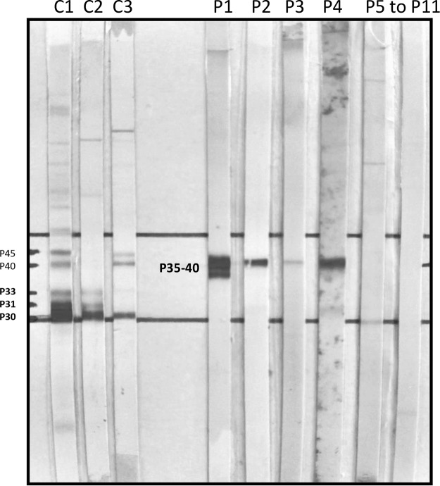 FIG 2