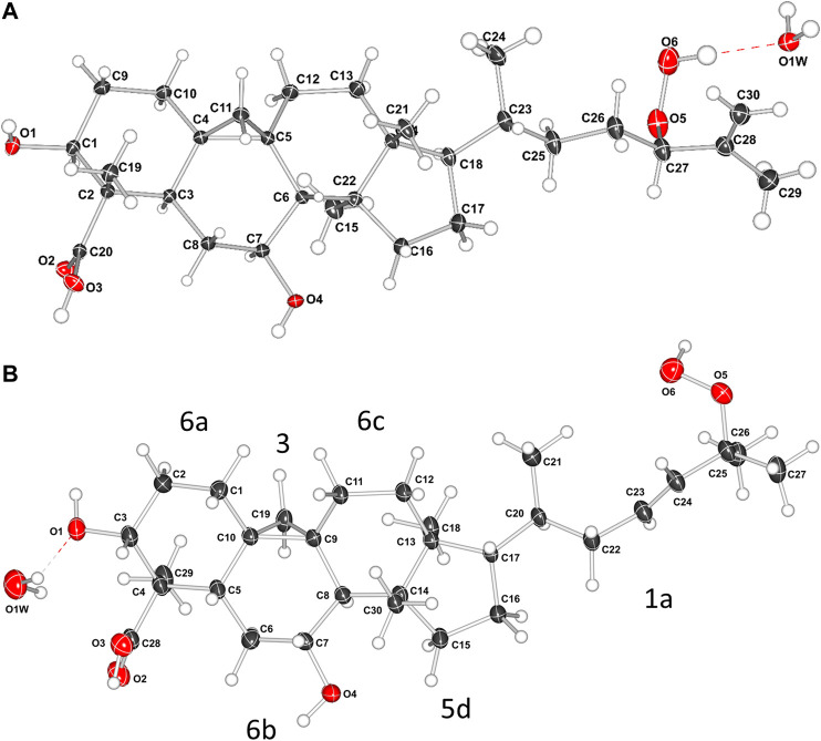 FIGURE 3