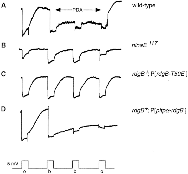 Figure 8