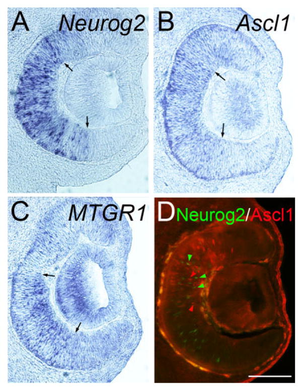 Fig. 5