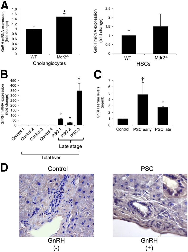 Figure 4