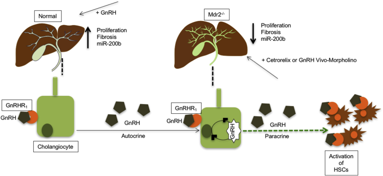 Figure 11