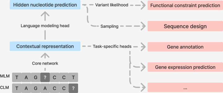 Figure 1: