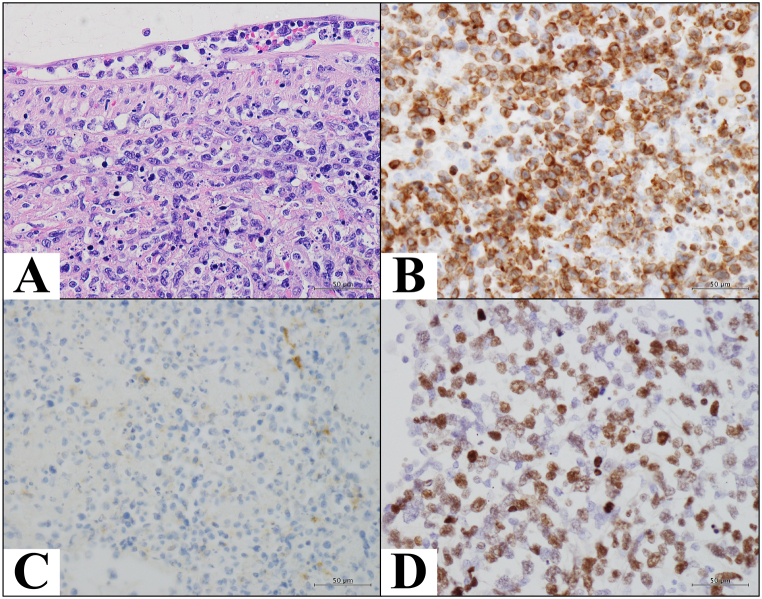 Fig. 2