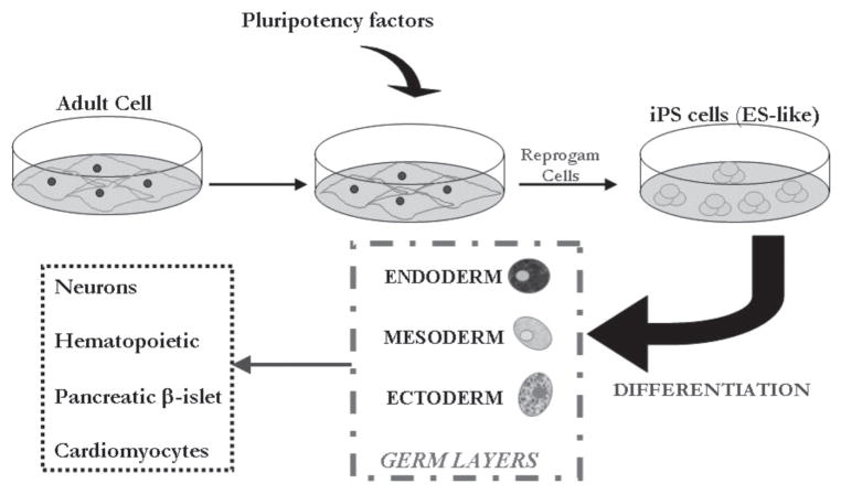 FIGURE 3