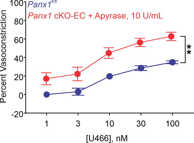 Figure 2—figure supplement 2.