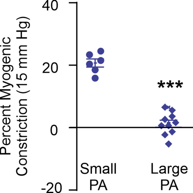 Figure 2—figure supplement 1.