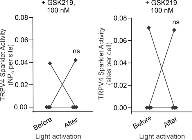 Figure 5—figure supplement 2.