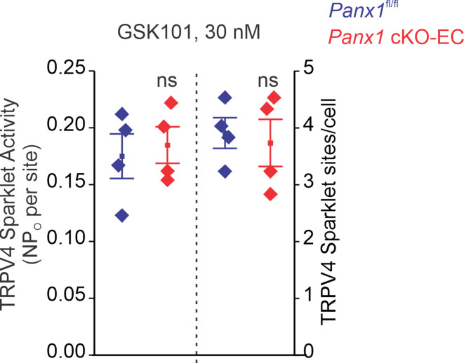 Figure 1—figure supplement 2.