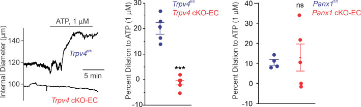 Figure 2—figure supplement 3.