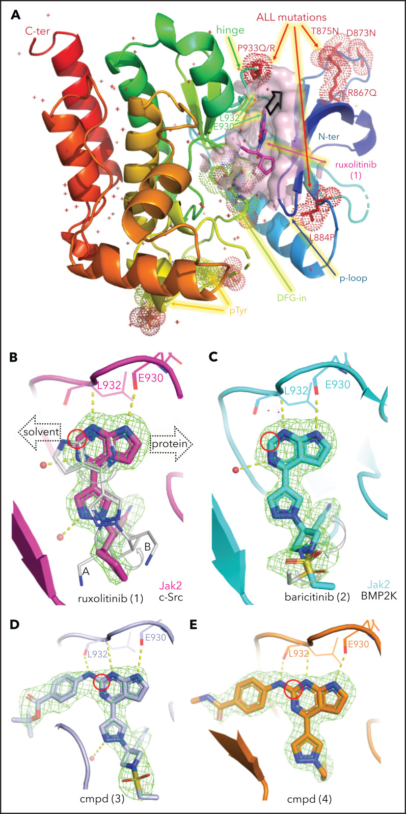 Figure 1.