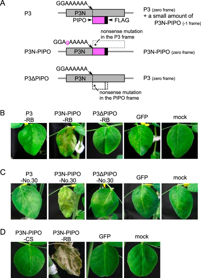 FIG 2