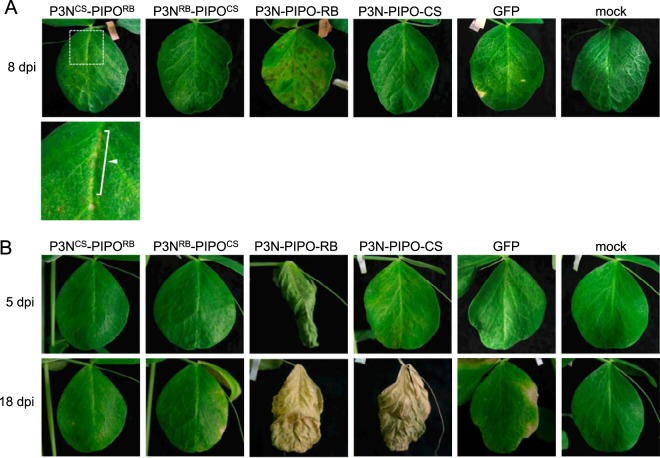 FIG 9