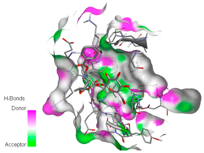 Figure 5