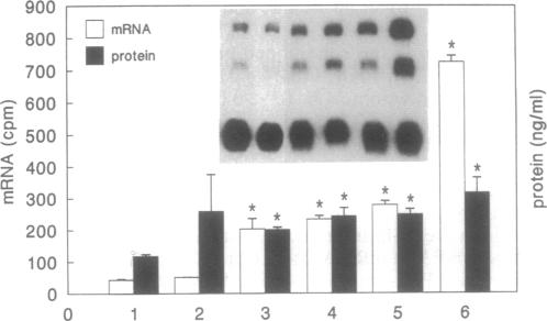 graphic file with name pnas01072-0063-d.jpg