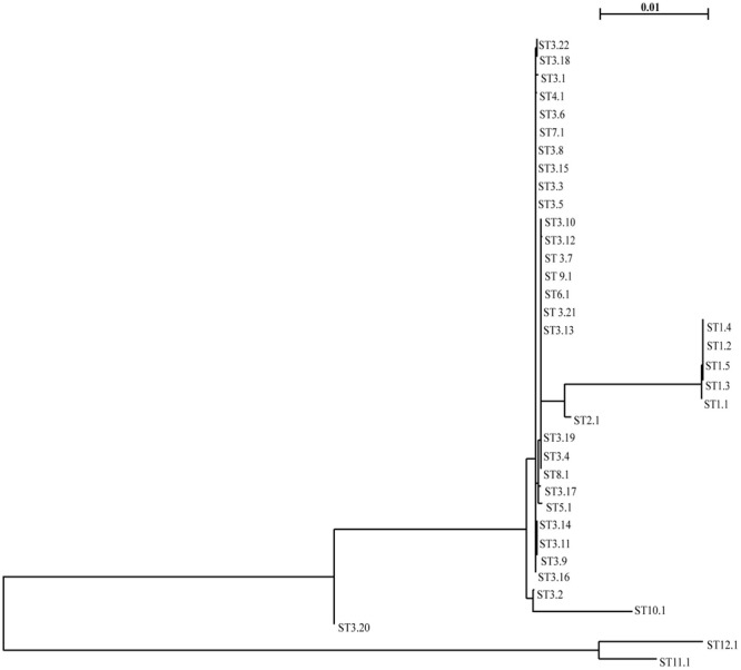 FIGURE 5