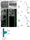 Figure 8—figure supplement 1.