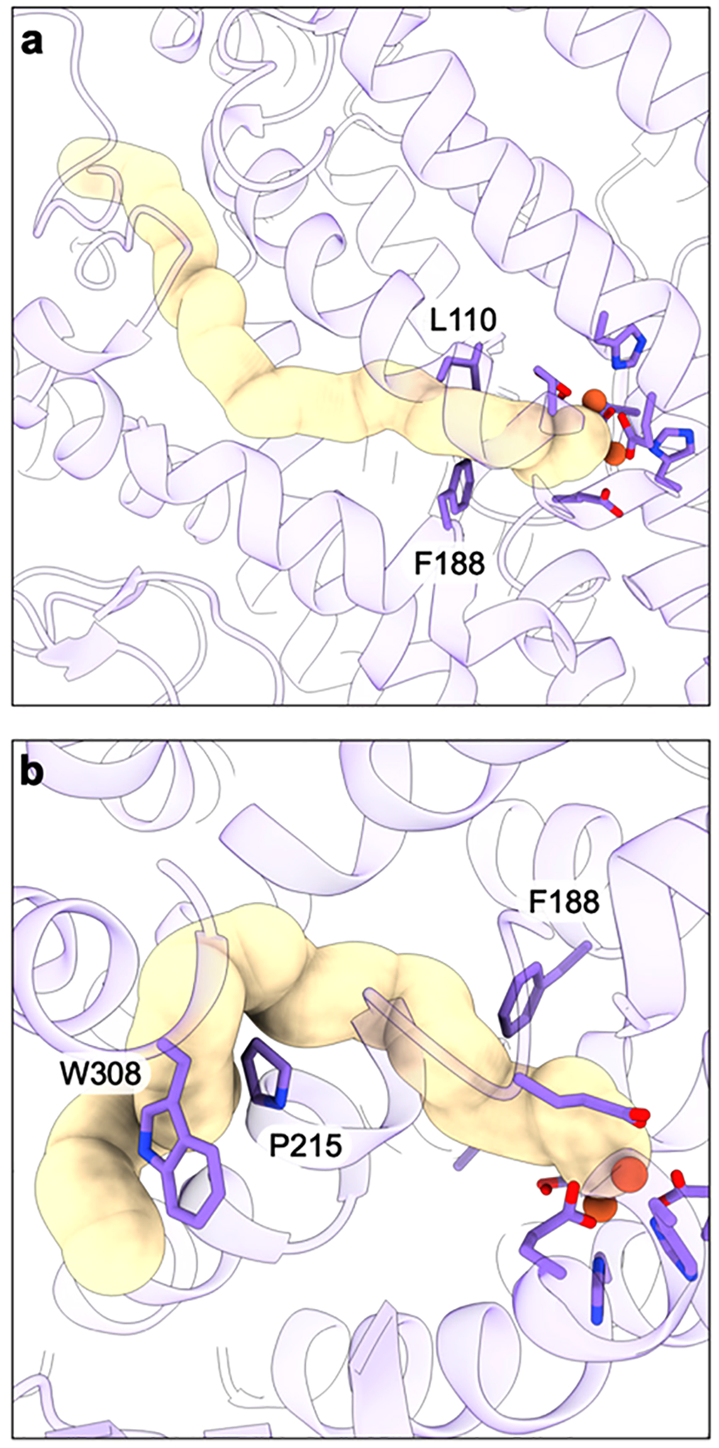 Figure 22.