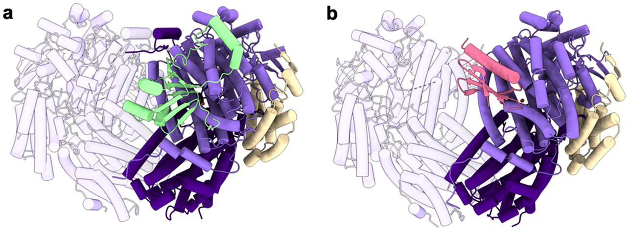 Figure 20.