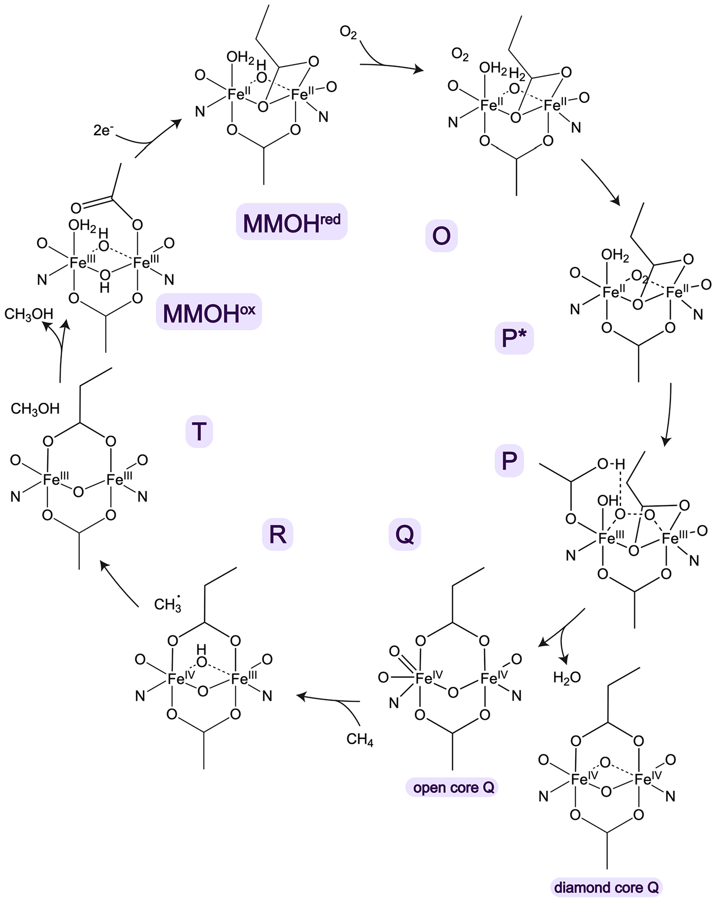 Figure 23.