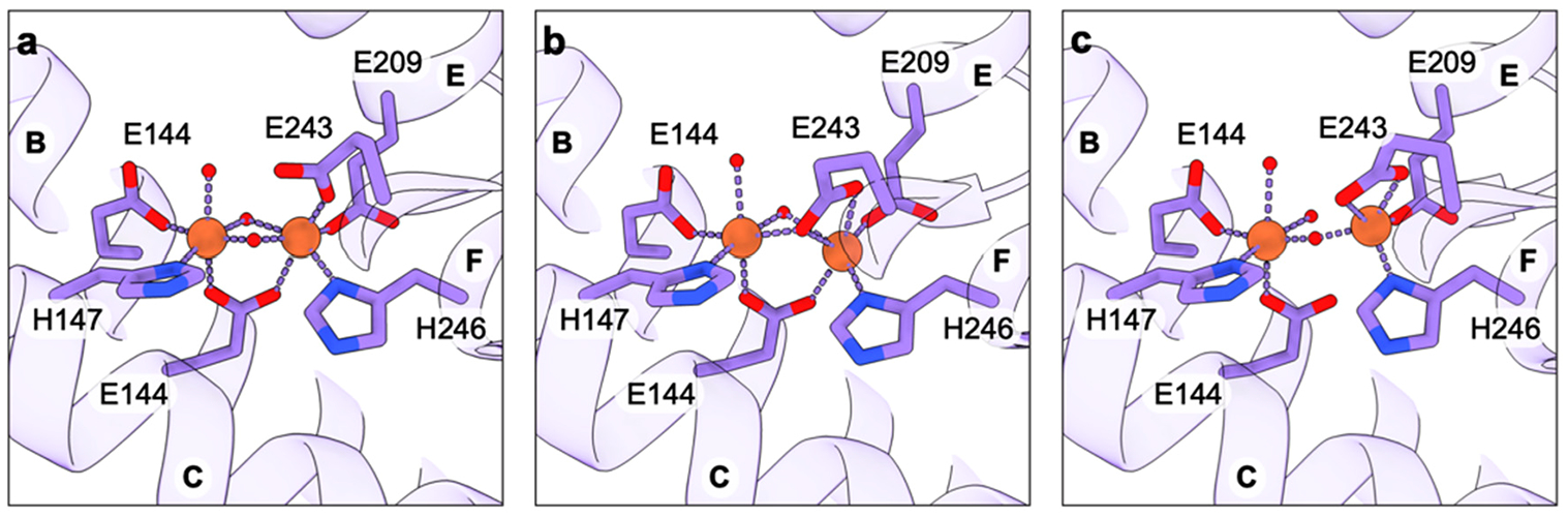 Figure 21.