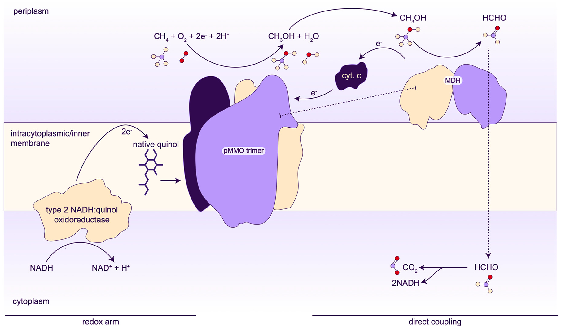 Figure 12.