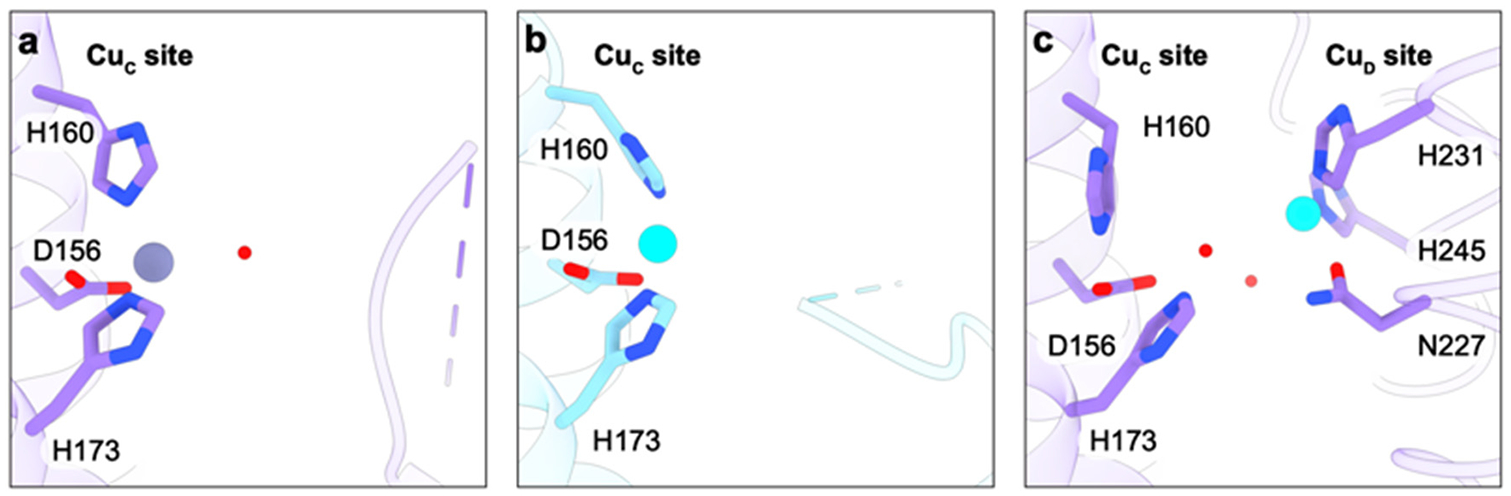 Figure 11.