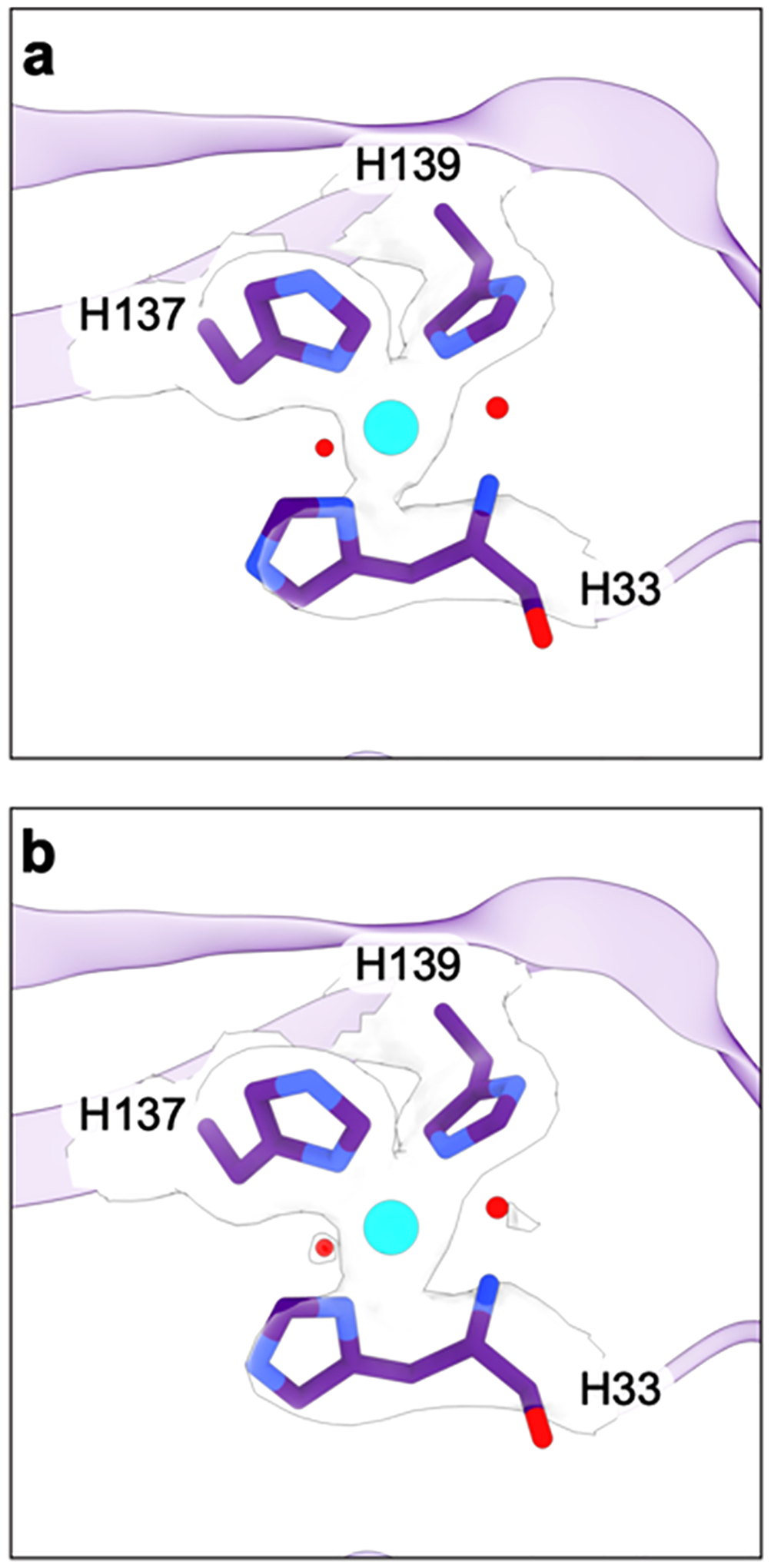 Figure 10.