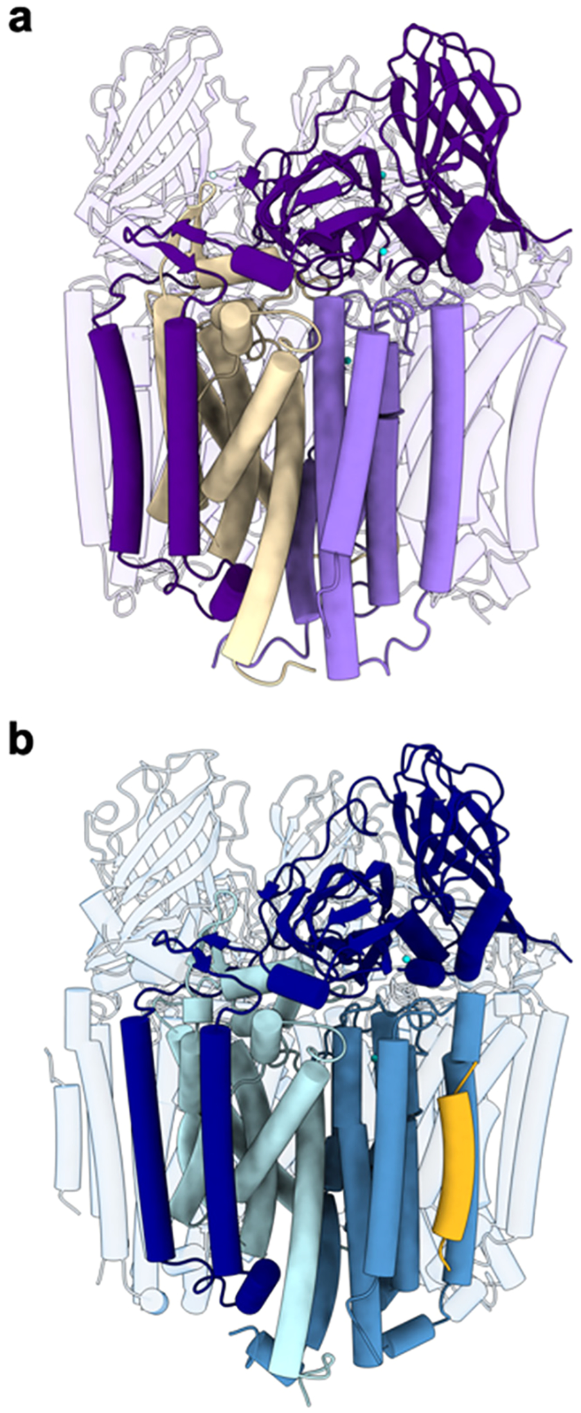 Figure 6.