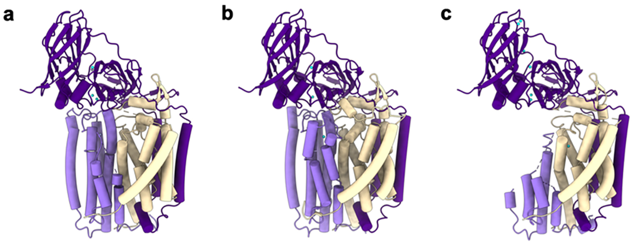 Figure 7.