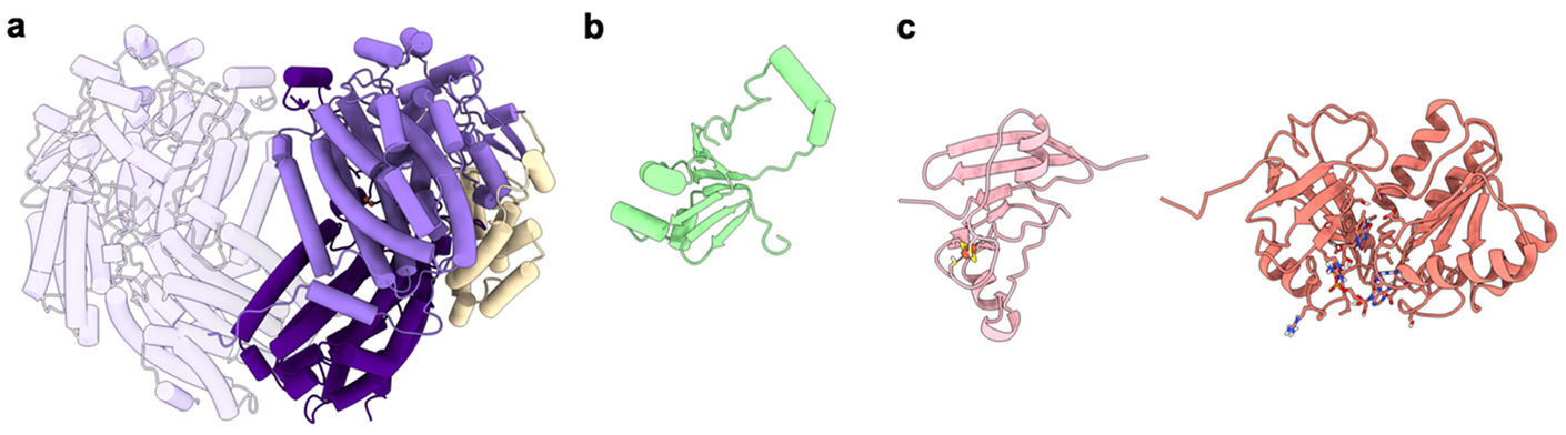 Figure 19.