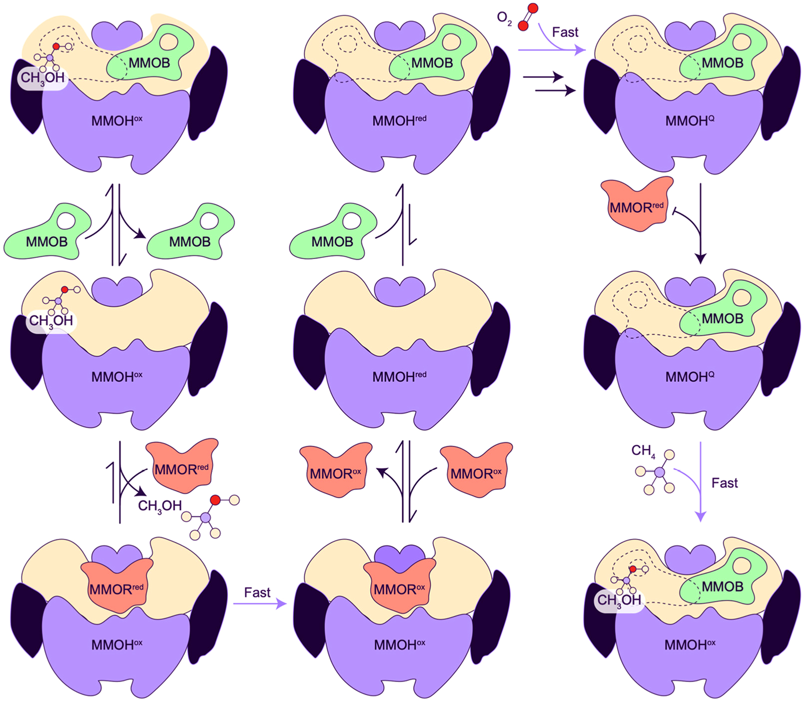 Figure 24.