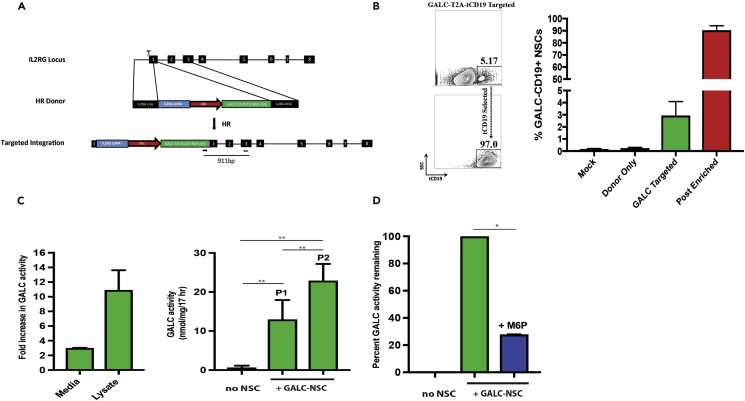 Figure 4