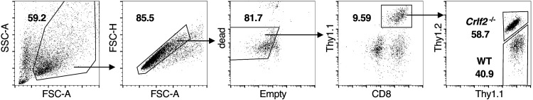 Figure 4—figure supplement 2.