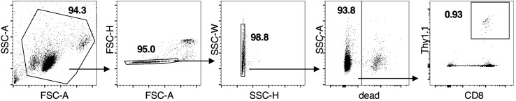 Figure 3—figure supplement 1.