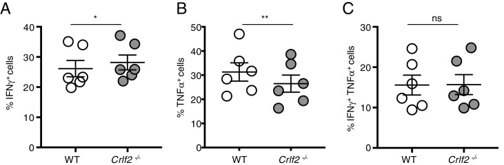 Figure 4—figure supplement 1.